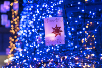 Caretta Illumination 2018 u ̏̃vcFv