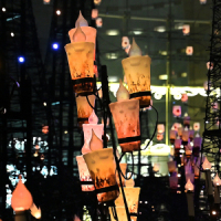 Caretta Illumination 2018 u ̏̃vcFv
