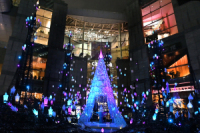 Caretta Illumination 2018  uAiƐ̏v