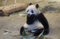 쓮̃VVij